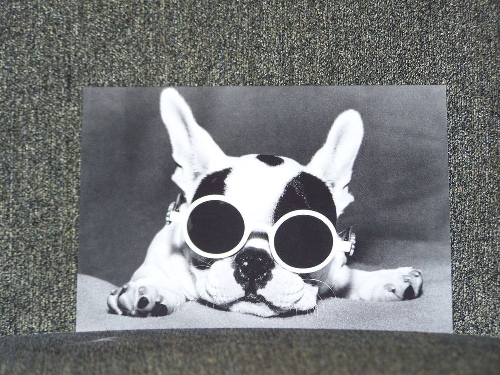 Dog with Sunglasses Blank Card